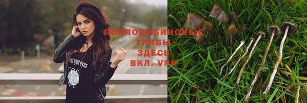 ешки Магас